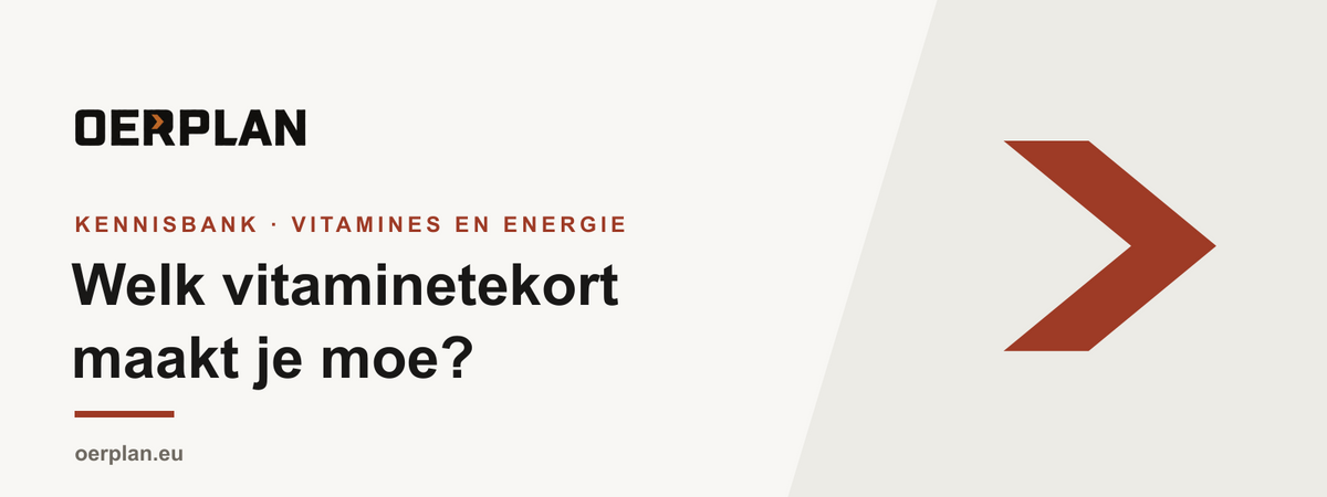 Welk vitaminetekort maakt je moe - Oerplan Kennisbank