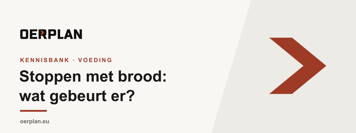 Stoppen met brood - wat gebeurt er in je lichaam - Oerplan Kennisbank