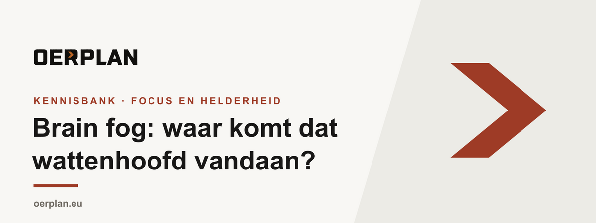 Brain fog - oorzaken en wat helpt - Oerplan Kennisbank