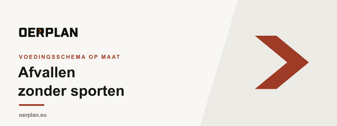 Afvallen zonder sporten: een voedingsschema dat het werk doet